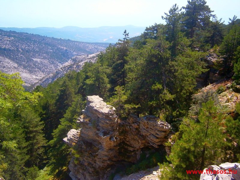 Az öreg falu, a vén platán és a folyók meséje
